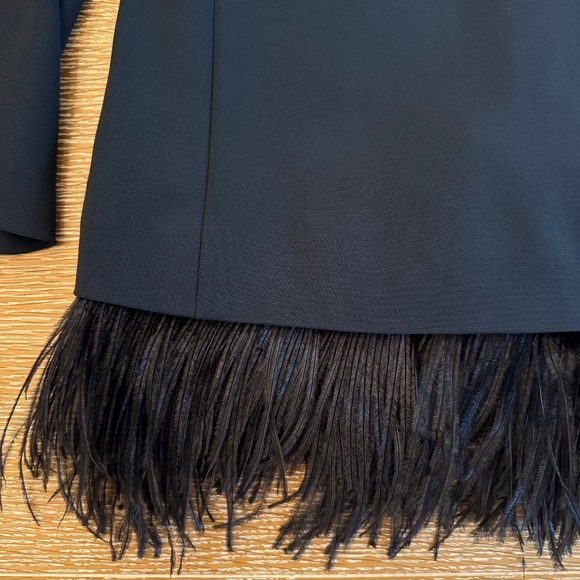 STUNNING AND FESTIVE! Escada Feather Hem Black Blouse Top, Size 36 - Picture 2 of 2